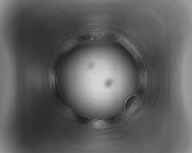 X0000102500333200808081354