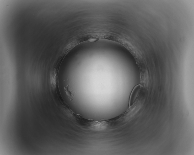 X0000102500334200808081354