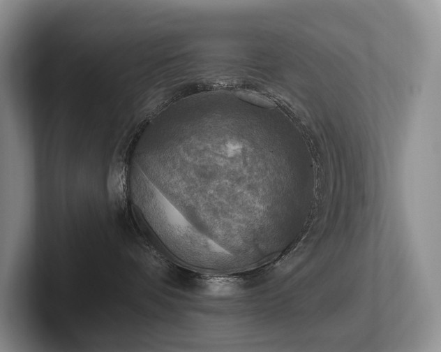 X0000102500336200808081354