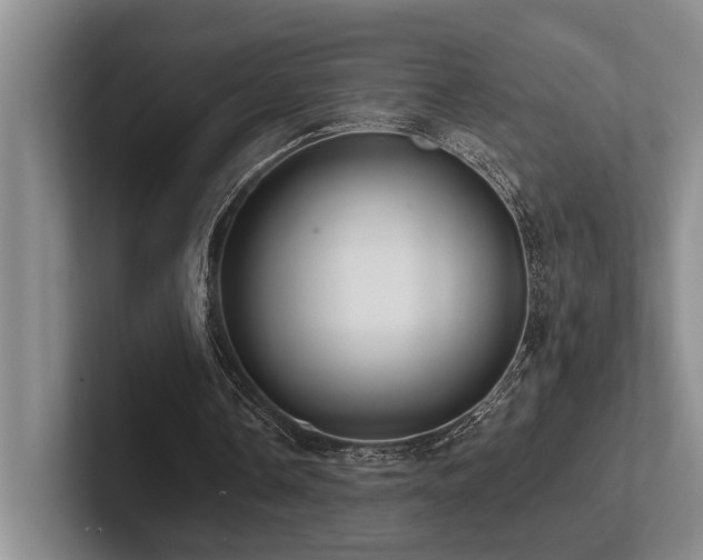 X0000102500338200808081353