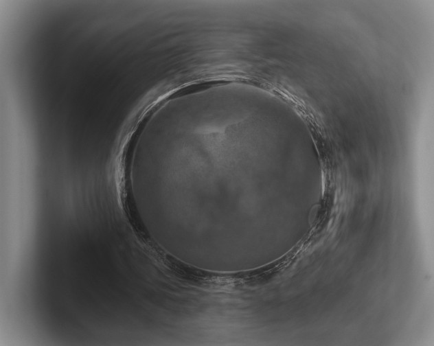 X0000102500339200808081353