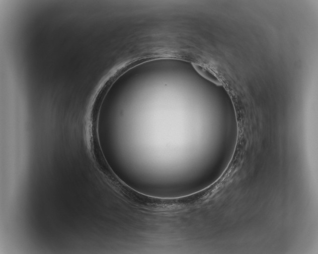 X0000102500342200808081353