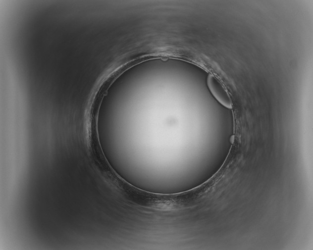 X0000102500344200808081353