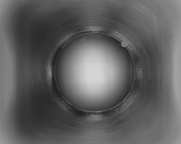 X0000102500350200808081353