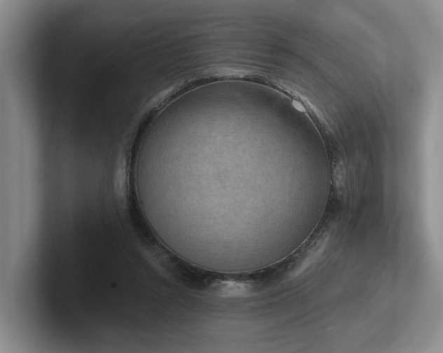 X0000102500352200808081353