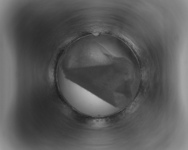 X0000102500353200808081353