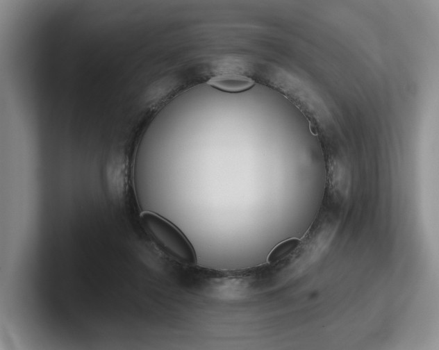 X0000102500356200808081353