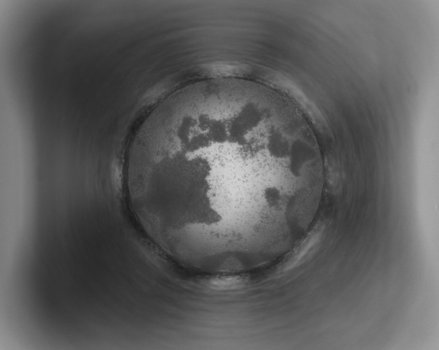 X0000102500357200808081353