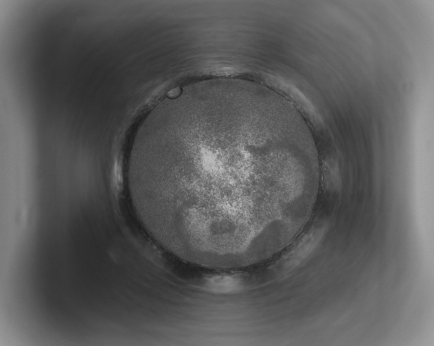 X0000102500358200808081353