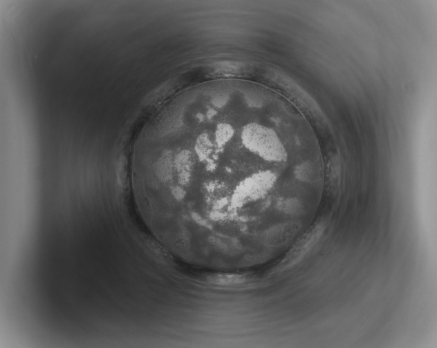 X0000102500361200808081353