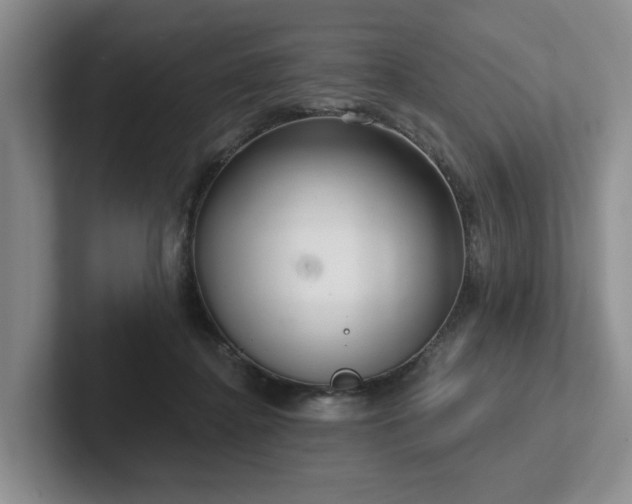 X0000102500364200808081353