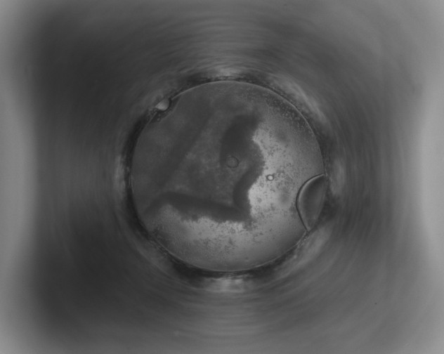 X0000102500366200808081353