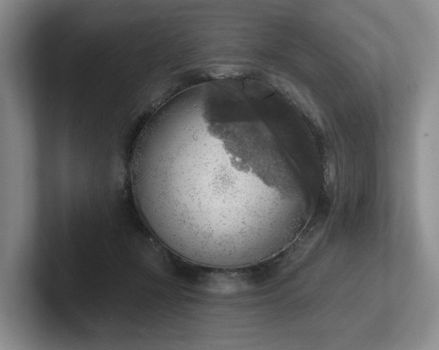 X0000102500367200808081353