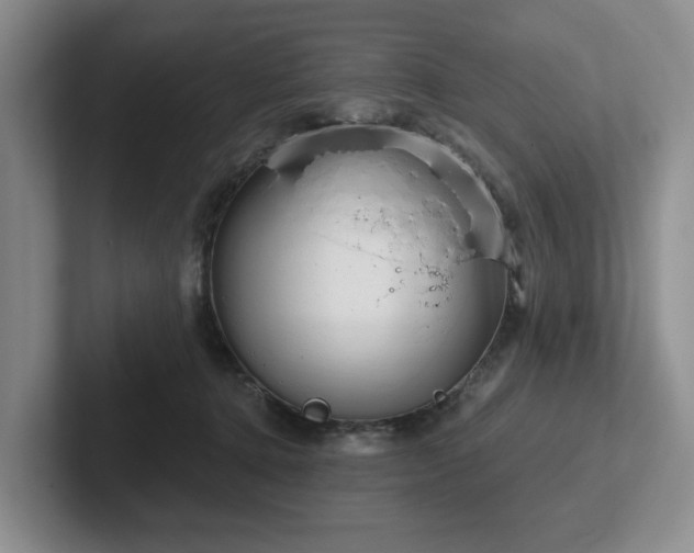 X0000102500368200808081353