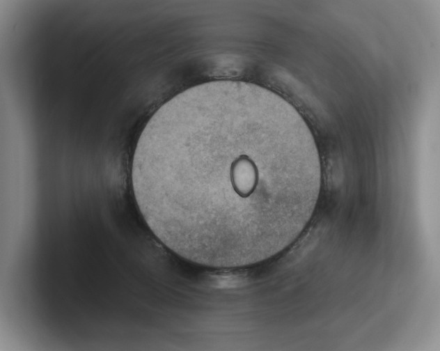 X0000102500370200808081354