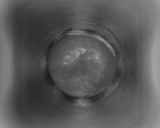 X0000102500372200808081354