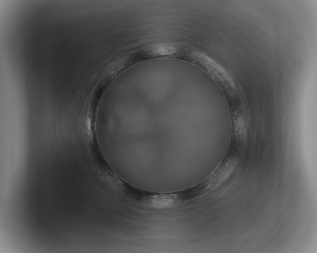 X0000102500373200808081354