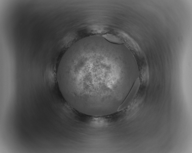 X0000102500376200808081354