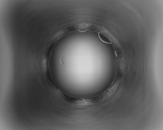 X0000102500378200808081354