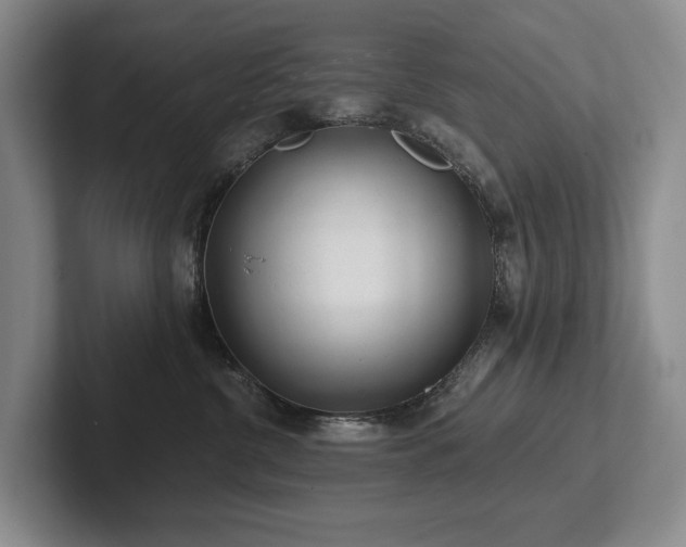 X0000102500380200808081354