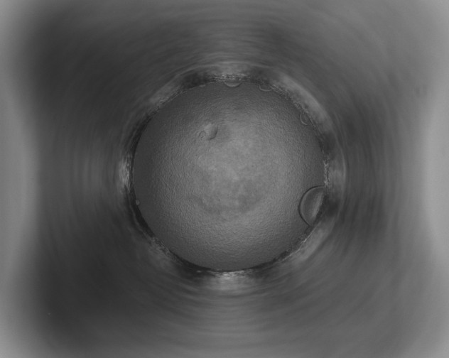 X0000102500382200808081354