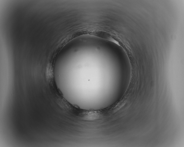 X0000102500384200808081354