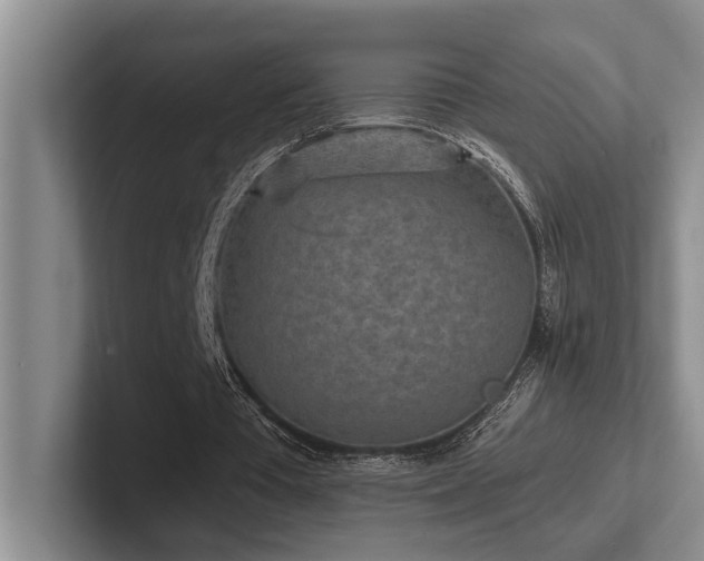 X0000102500385200808081353