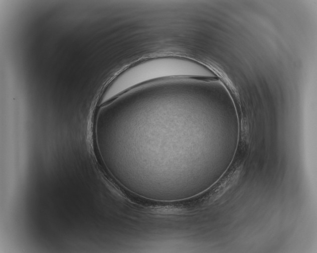 X0000102500389200808081353