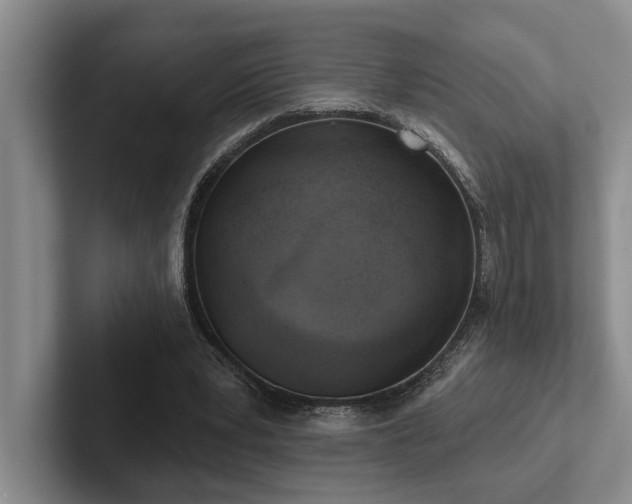 X0000102500391200808081353