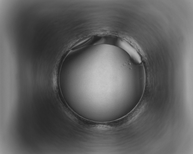 X0000102500393200808081353