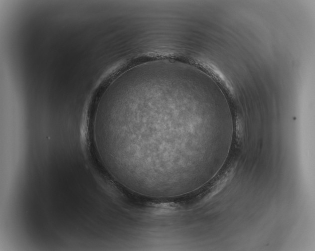 X0000102500396200808081353