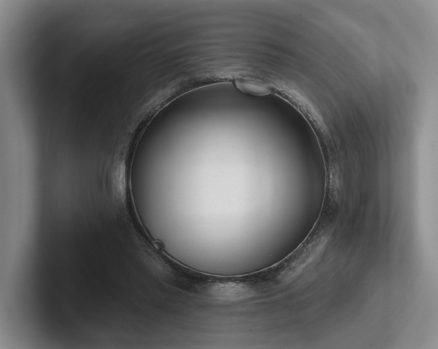 X0000102500397200808081353