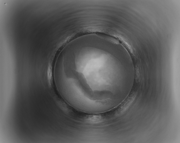 X0000102500398200808081353