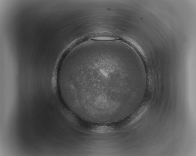 X0000102500399200808081353