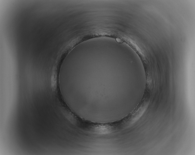 X0000102500402200808081353