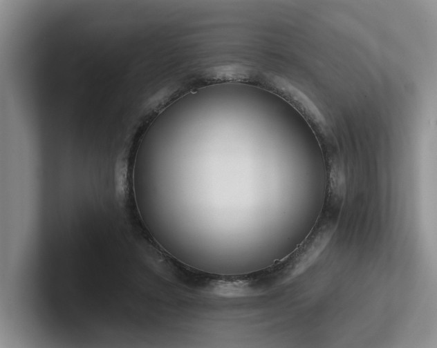 X0000102500403200808081353