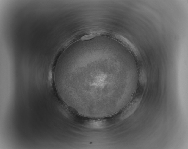 X0000102500405200808081353