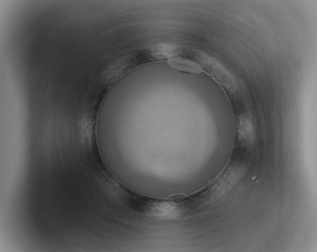 X0000102500409200808081353