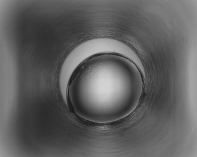 X0000102500411200808081353