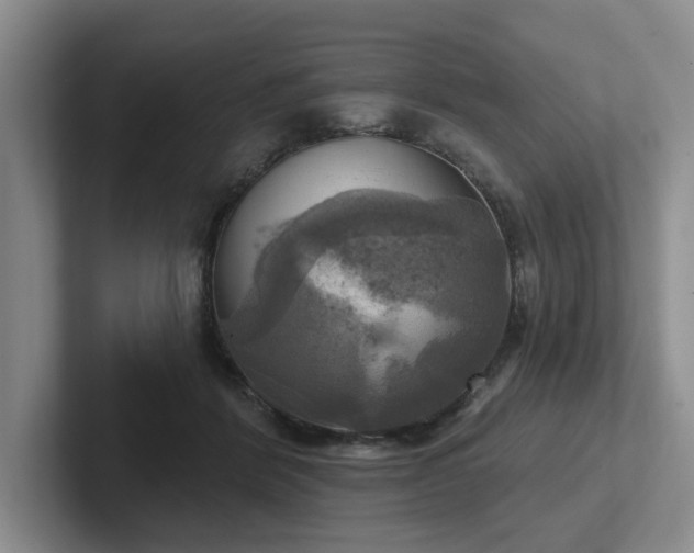 X0000102500412200808081353