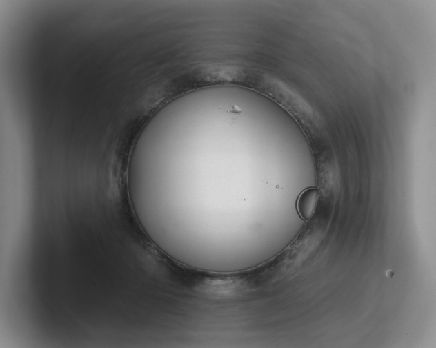 X0000102500414200808081353