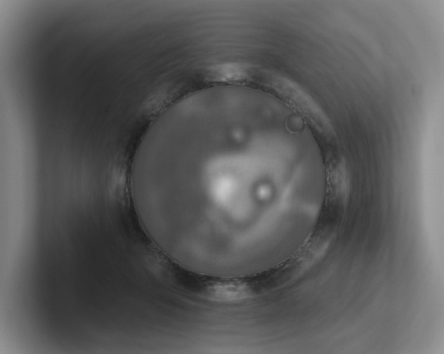 X0000102500415200808081353