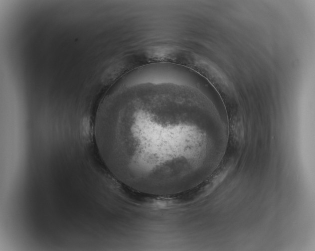 X0000102500420200808081353