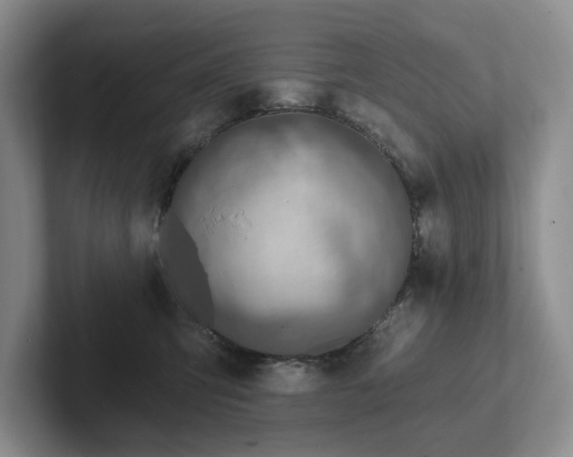 X0000102500423200808081353