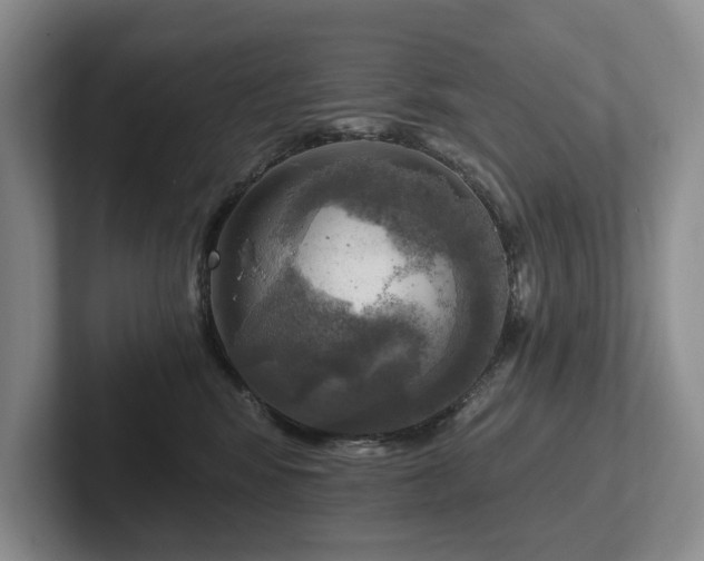 X0000102500424200808081353