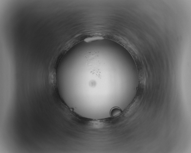 X0000102500425200808081353