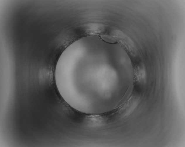 X0000102500427200808081353