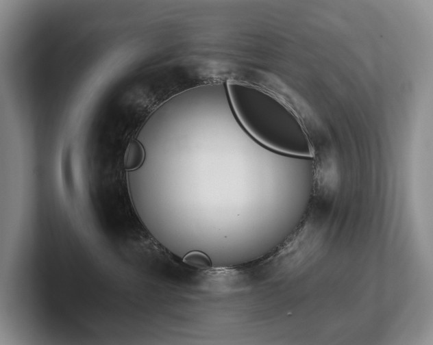 X0000102500429200808081353