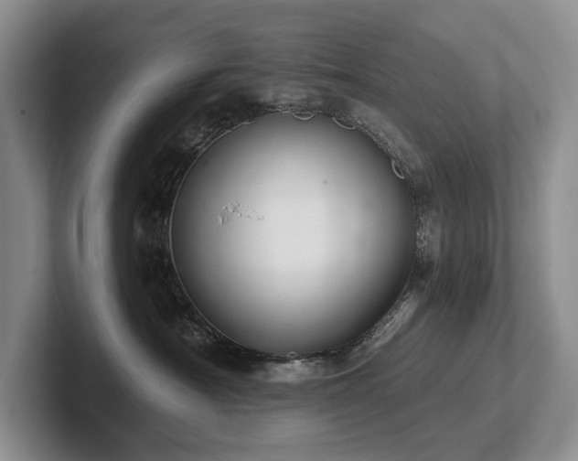 X0000102500430200808081352