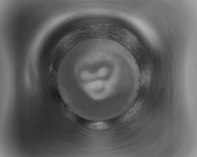 X0000102500431200808081352